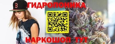 эйфоретик Будённовск