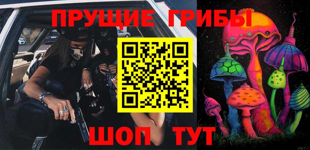 Галлюциногенные грибы Psilocybine cubensis  Галлюциногенные грибы Psilocybe  Сунжа  Вход с VPN 