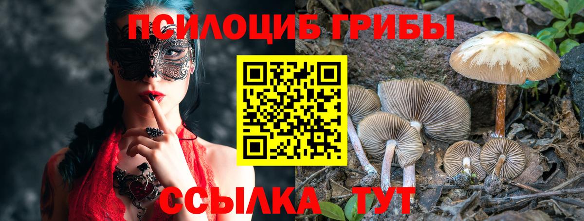 Галлюциногенные грибы прущие грибы Сунжа